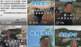 宇哥爆料视频大全集免费观看,免费观看，揭秘幕后真相